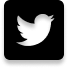 Ir para o Twitter de Eduardo Perottoni